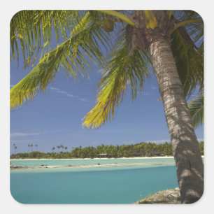 Palmbomen & lagune, Musket Cove Island Resort Vierkante Sticker