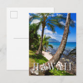 Palmbomen langs Hideaways Beach Briefkaart (Voorkant / Achterkant)