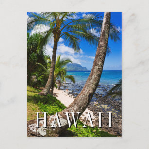 Palmbomen langs Hideaways Beach Briefkaart