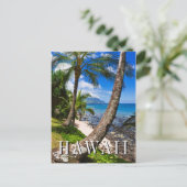 Palmbomen langs Hideaways Beach Briefkaart (Staand voorkant)
