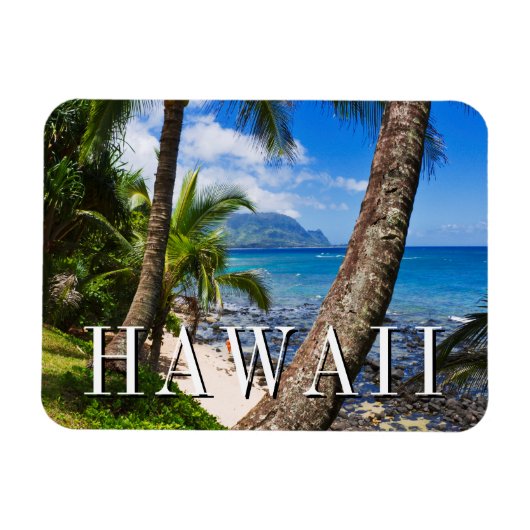Palmbomen langs Hideaways Beach Magneet (Horizontaal)