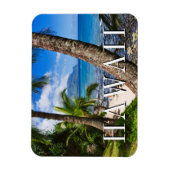 Palmbomen langs Hideaways Beach Magneet (Verticaal)
