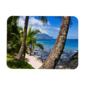 Palmbomen langs Hideaways Beach Magneet (Horizontaal)