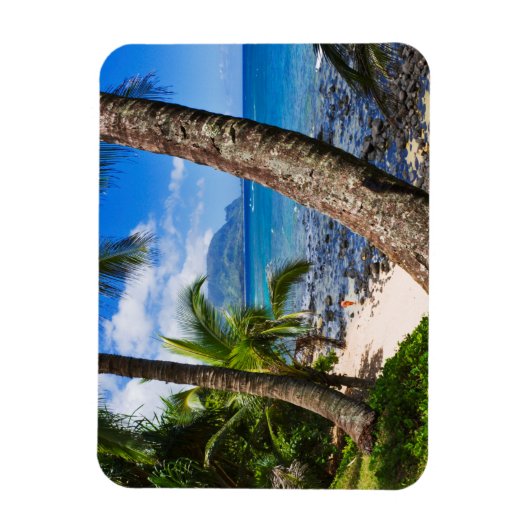 Palmbomen langs Hideaways Beach Magneet (Verticaal)