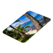 Palmbomen langs Hideaways Beach Magneet (Linkerzijde)
