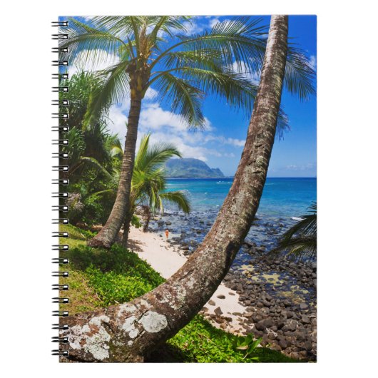 Palmbomen langs Hideaways Beach Notitieboek (Voorkant)