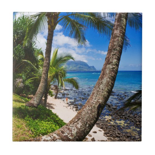 Palmbomen langs Hideaways Beach Tegeltje (Voorkant)
