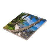 Palmbomen langs Hideaways Beach Tegeltje (Zijkant)