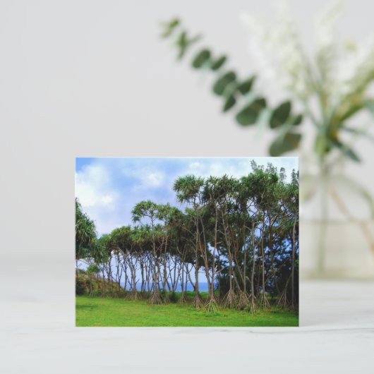 Palmbomen lopen in Hawaï Briefkaart (Staand voorkant)