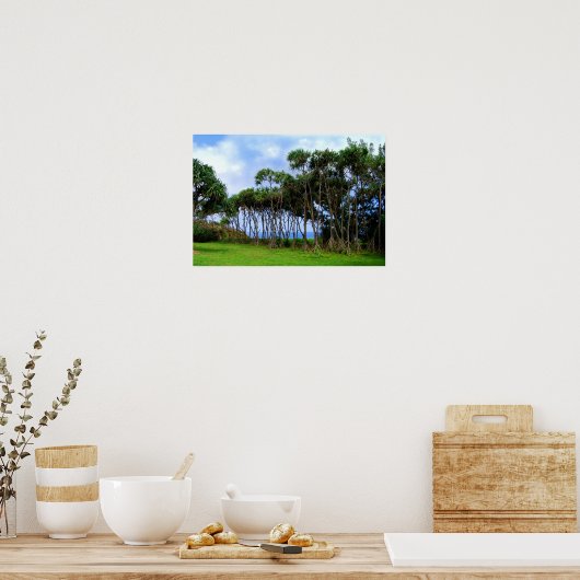 Palmbomen lopen in Hawaï Poster (Keuken)