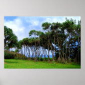 Palmbomen lopen in Hawaï Poster (Voorkant)