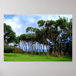 Palmbomen lopen in Hawaï Poster