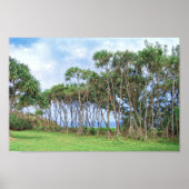 Palmbomen lopen in Hawaï Poster (Voorkant)