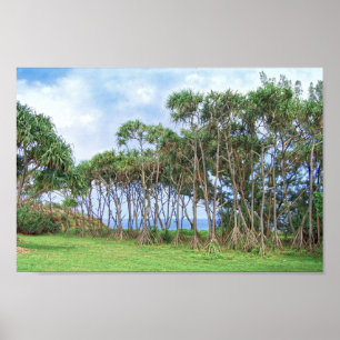 Palmbomen lopen in Hawaï Poster