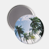Palmbomen magneet (Voorkant / Achterkant)