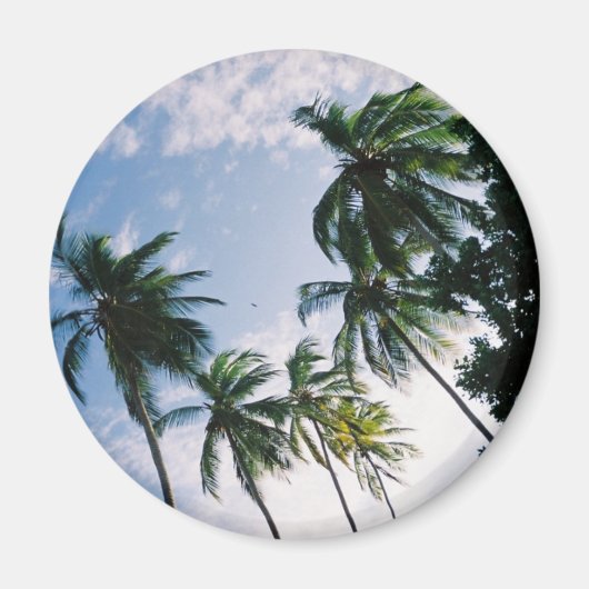 Palmbomen magneet (Voorkant)