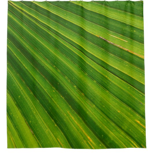 Palmbomen met palmbomen douchegordijn (Voorkant)