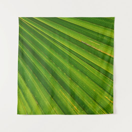 Palmbomen met palmbomen wandkleed (Voorkant)