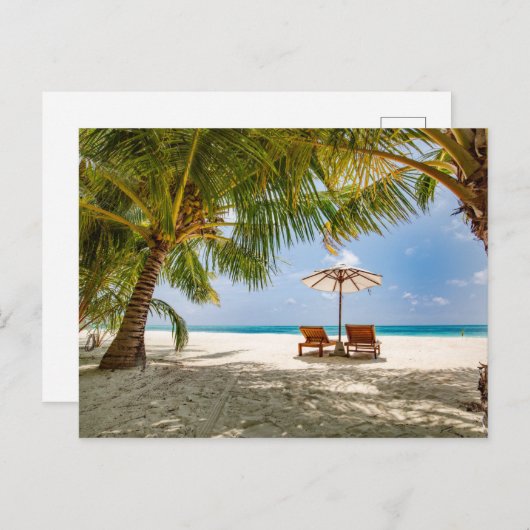 Palmbomen | Moody Sky Briefkaart (Voorkant / Achterkant)