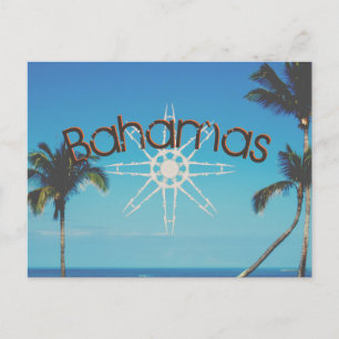 Palmbomen nabij de oceaan briefkaart