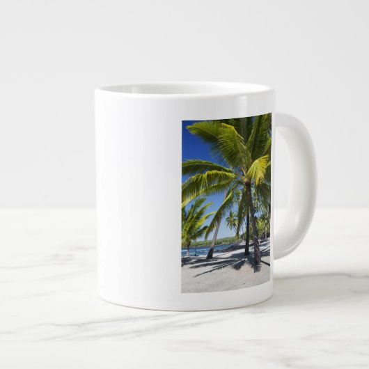 Palmbomen, nationaal historisch park Pu'uhonua o Grote Koffiekop (Voorkant rechts)