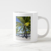 Palmbomen, nationaal historisch park Pu'uhonua o Grote Koffiekop (Rechts)