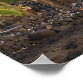 Palmbomen, nationaal historisch park Pu'uhonua o Poster (Hoek)