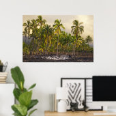 Palmbomen, nationaal historisch park Pu'uhonua o Poster (Thuiskantoor)
