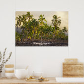 Palmbomen, nationaal historisch park Pu'uhonua o Poster (Keuken)