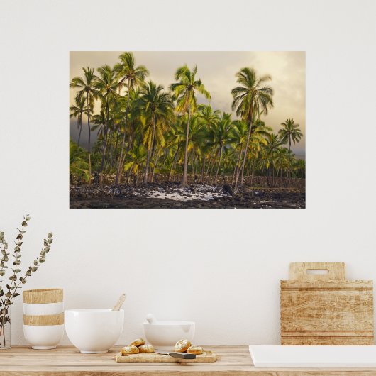 Palmbomen, nationaal historisch park Pu'uhonua o Poster (Keuken)