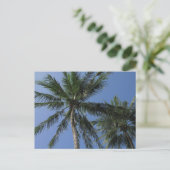 Palmbomen op Briefkaart (Staand voorkant)
