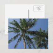 Palmbomen op Briefkaart (Voorkant / Achterkant)