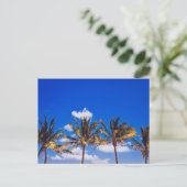 Palmbomen op Caraïbisch strand, Riviera Maya Tulum Briefkaart (Staand voorkant)