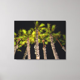 Palmbomen op de foto van 's nachts - Premium gevle Canvas Afdruk