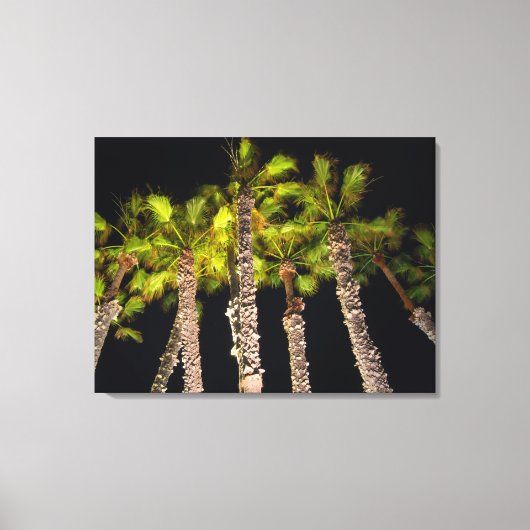 Palmbomen op de foto van 's nachts - Premium gevle Canvas Afdruk (Voorkant)