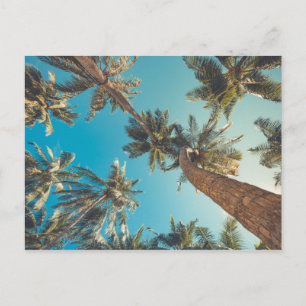 Palmbomen op de Vintage van het tropische strand Briefkaart