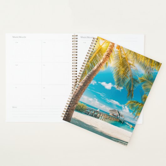 Palmbomen op de zon planner (Display)
