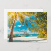 Palmbomen op een mooie zonsondergang briefkaart (Voorkant / Achterkant)