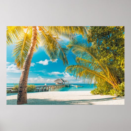 Palmbomen op een mooie zonsondergang poster (Voorkant)