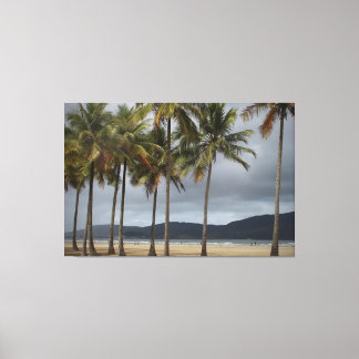 Palmbomen op Gonzaga Beach, Santos, Brazilië Canvas Afdruk