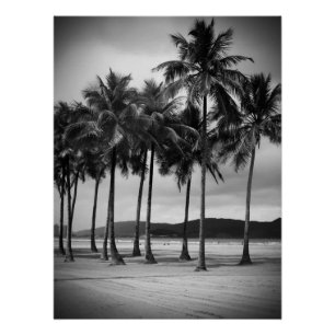 Palmbomen op Gonzaga Beach, Santos, Brazilië Perfect Poster