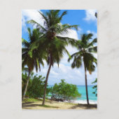 Palmbomen op het Briefkaart van tropische seascape (Voorkant)