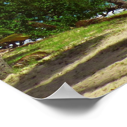 Palmbomen op het Poster van de Tropische Seascape (Hoek)