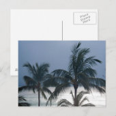 palmbomen op het strand briefkaart (Voorkant / Achterkant)
