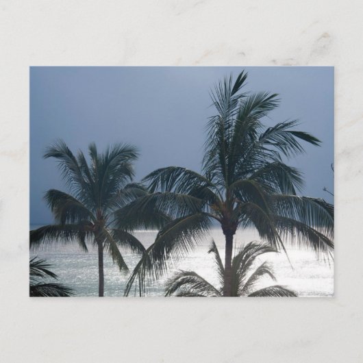palmbomen op het strand briefkaart (Voorkant)