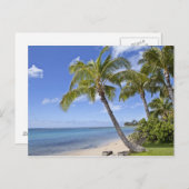 Palmbomen op het strand in Hawaii. Briefkaart (Voorkant / Achterkant)