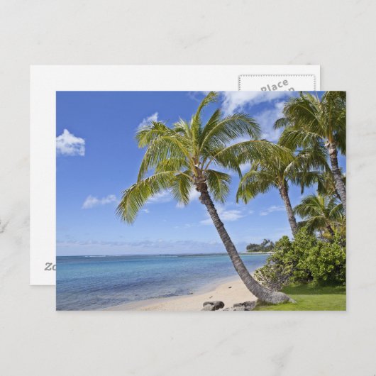 Palmbomen op het strand in Hawaii. Briefkaart (Voorkant / Achterkant)
