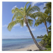 Palmbomen op het strand in Hawaii. Tegeltje (Voorkant)
