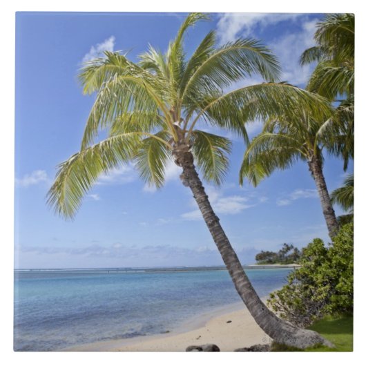 Palmbomen op het strand in Hawaii. Tegeltje (Voorkant)