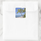 Palmbomen op het strand in Hawaii. Vierkante Sticker (Tas)